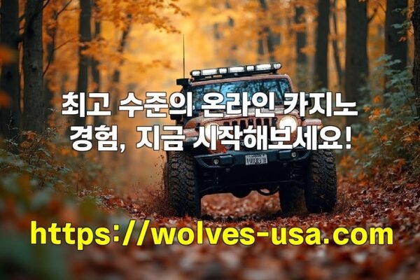 최고 수준의 온라인 카지노 경험, 지금 시작해보세요!