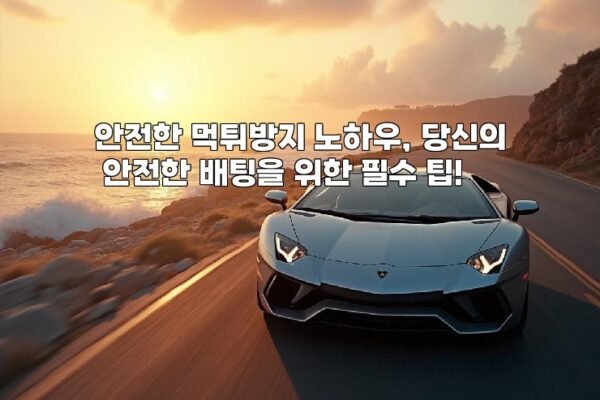 안전한 먹튀방지 노하우, 당신의 안전한 배팅을 위한 필수 팁!